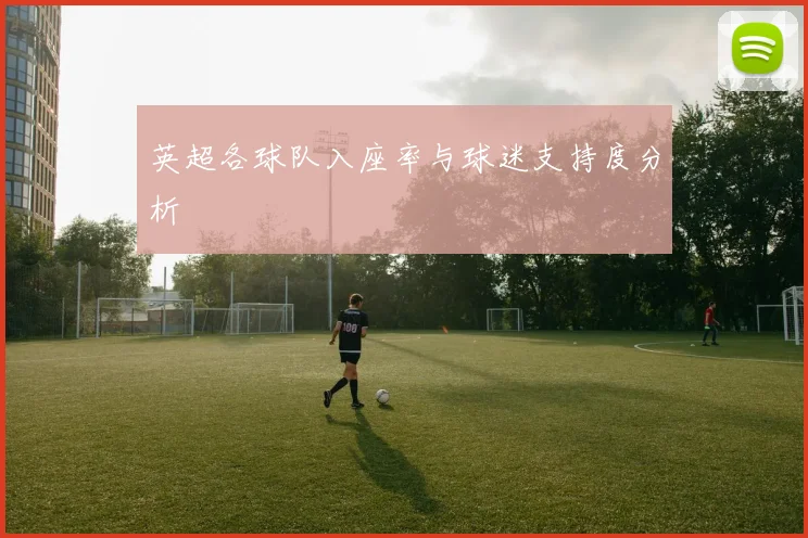 英超各球队入座率与球迷支持度分析