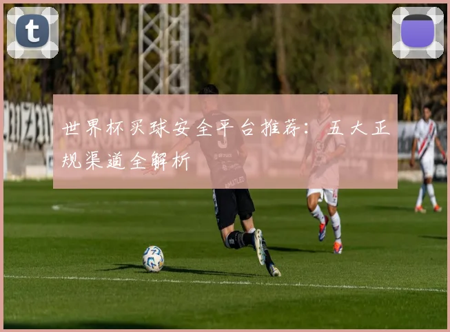 世界杯买球安全平台推荐：五大正规渠道全解析