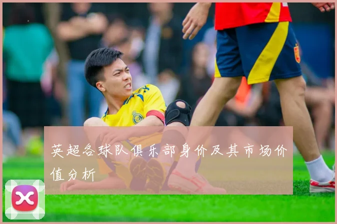 英超各球队俱乐部身价及其市场价值分析