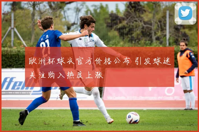 欧洲杯球衣官方价格公布 引发球迷关注购入热度上涨