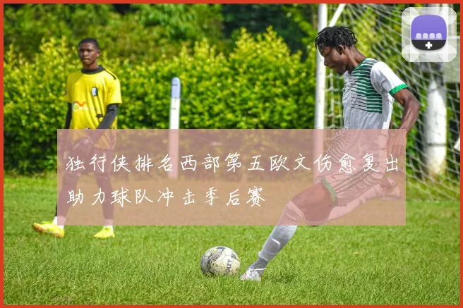 独行侠排名西部第五欧文伤愈复出助力球队冲击季后赛