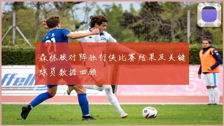 森林狼对阵独行侠比赛结果及关键球员数据回顾
