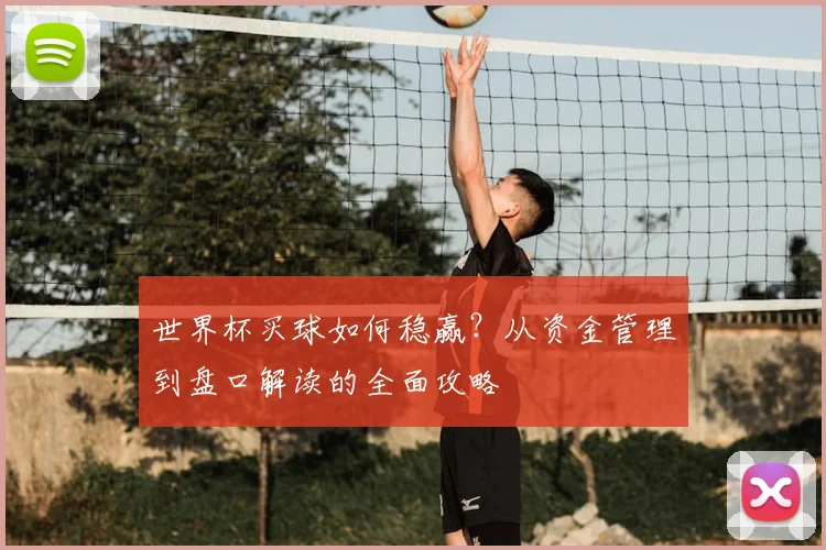 世界杯买球如何稳赢？从资金管理到盘口解读的全面攻略