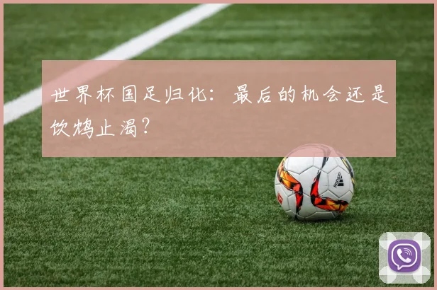 世界杯国足归化：最后的机会还是饮鸩止渴？