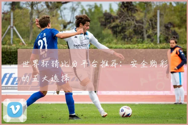 世界杯猜比分平台推荐：安全购彩的五大选择