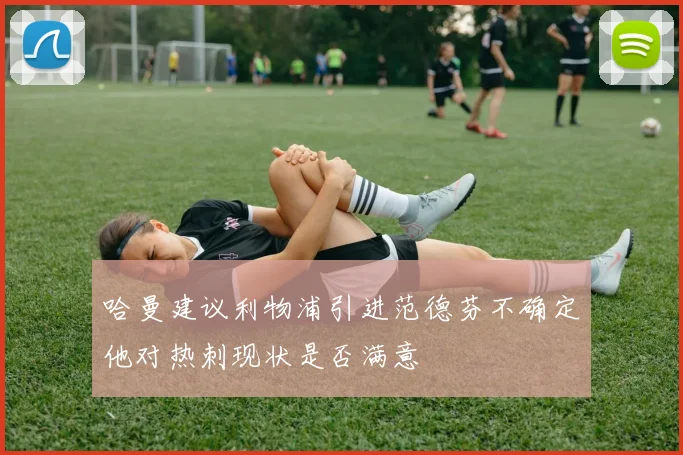 哈曼建议利物浦引进范德芬不确定他对热刺现状是否满意
