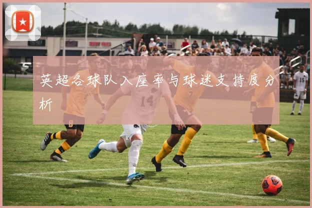 英超各球队入座率与球迷支持度分析
