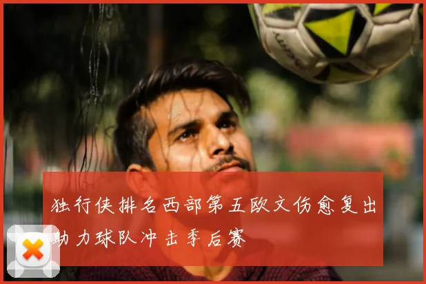 独行侠排名西部第五欧文伤愈复出助力球队冲击季后赛