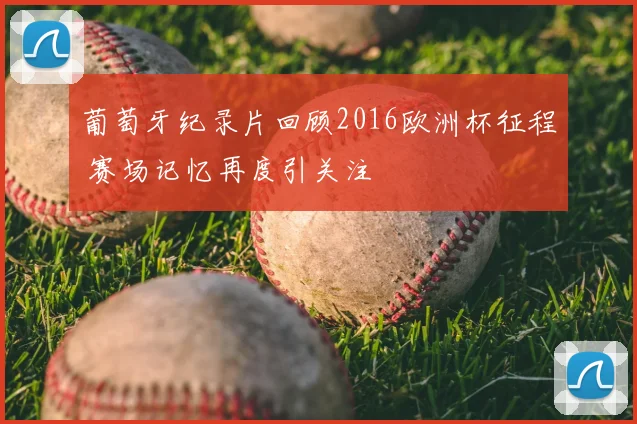 葡萄牙纪录片回顾2016欧洲杯征程 赛场记忆再度引关注